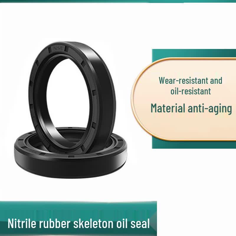 AEVYVKV Oil Seal