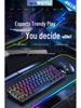 Mechanical Keyboard & Mouse Set for Gaming/Office - Red & Blue Switches