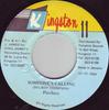 7inch Record PINCHERS  Someones Calling NONE KINGSTON 11 1994 Jamaica Reggae Ska  Dub Used
