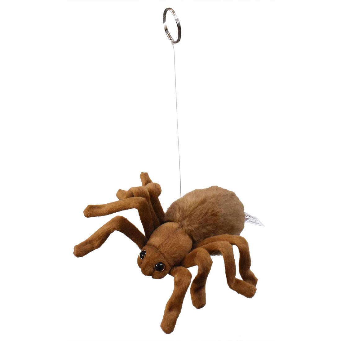 

Коричневый тарантул No.4726