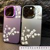 The New Guofeng Is Suitable for Iphone16 Mobile Phone Case Apple 15promax/14plusS Anti-drop 13pro12/11.