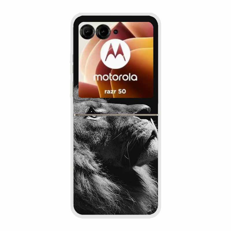 For Motorola Razr 50 Ultra Case Plastic Hard Painted Cartoon Transparent Back Cover Case for Motorola Razr 50 5G Hard PC Case 50