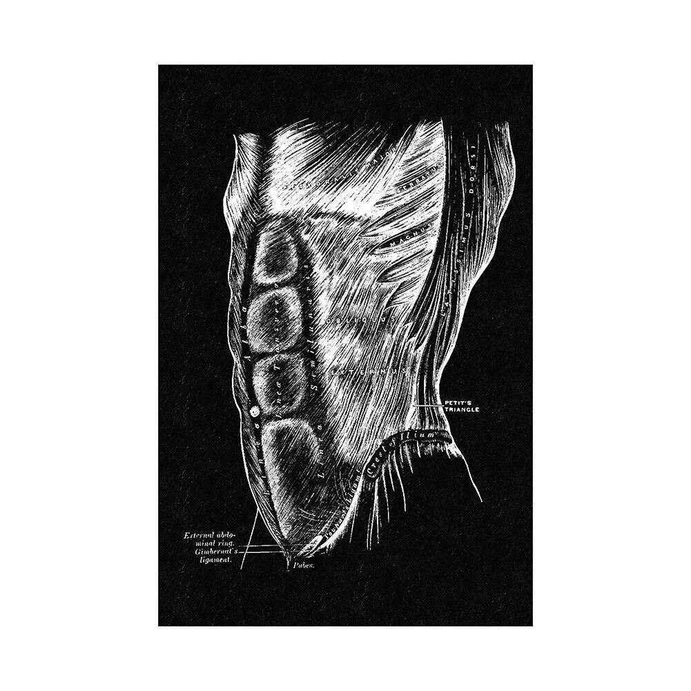 Canvas Printing Human Anatomy Artwork Wall Art Poster Skeleton Organ Muscular System Vintage Home Decor