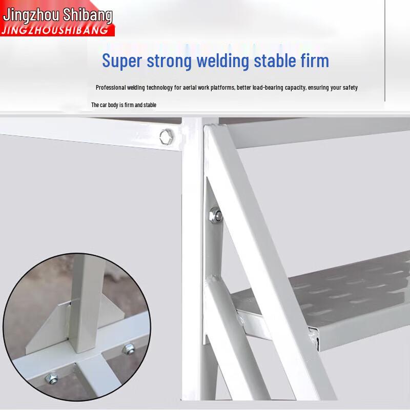 Mobile Warehouse Platform Ladder