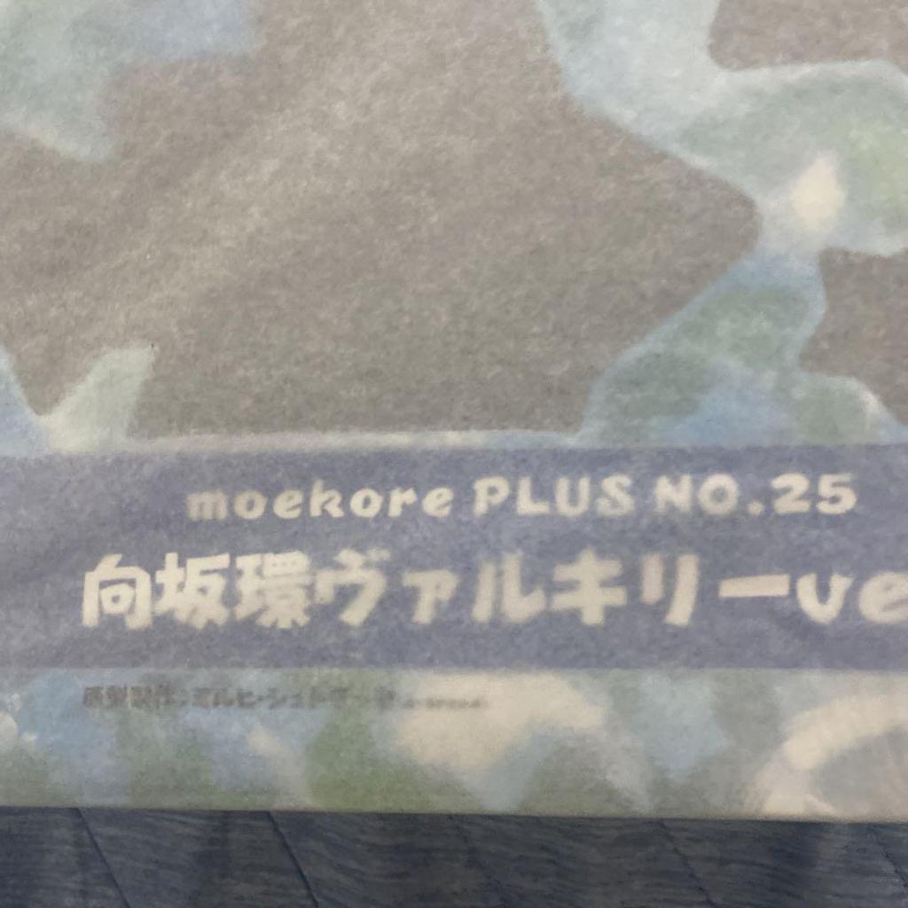 [USED] Moekore+ I'm going with Aika! Dungeon Travelers Tamaki Kosaka Valkyrie ver.