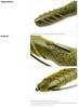 Deps Soft Lure Cover Scat 3.5 Inch 12 (5120)