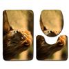 3D Lion Bathroom Toilet Three-Piece Floor Mat Door Mat Bathroom Carpet