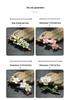 Ceramic Incense Holder & Brush Rest - Magnolia Plum Blossom Design