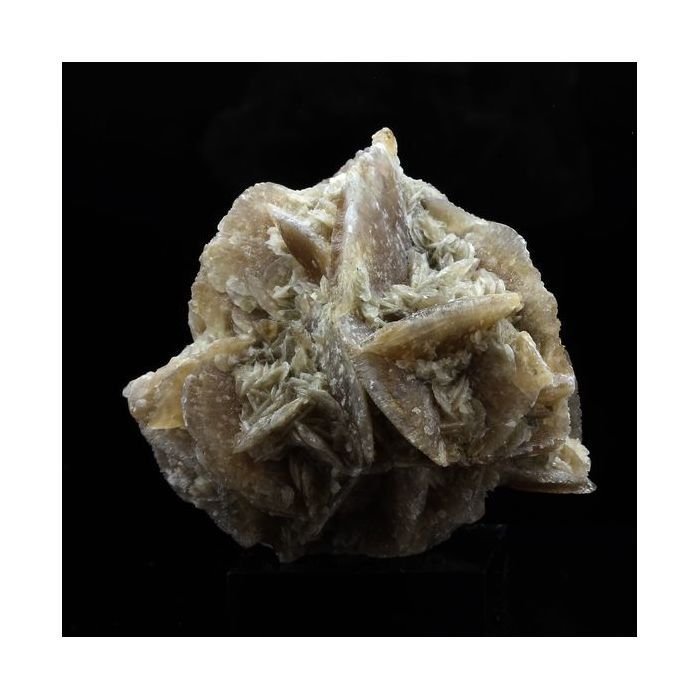 Gypse - Pierres et Minéraux - 481.0 ct - Gargas - Certificat d'authenticité - Gris