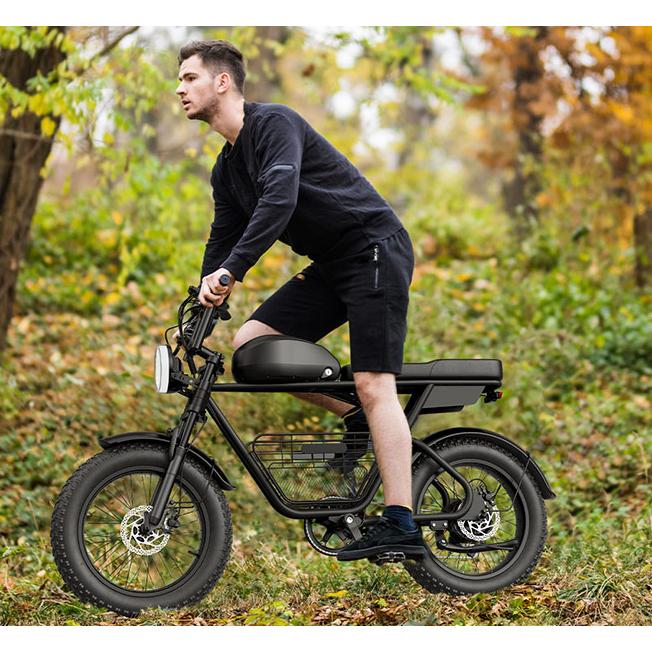 Gunai GUNAI-T Adult Electric Bicycle 1000W Men's Electric Mountain