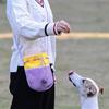 Multiuse Dog Snacks Bag for Training and Walking Drawstring Dog Training Bag with Water Resistant Liners for Outdoor