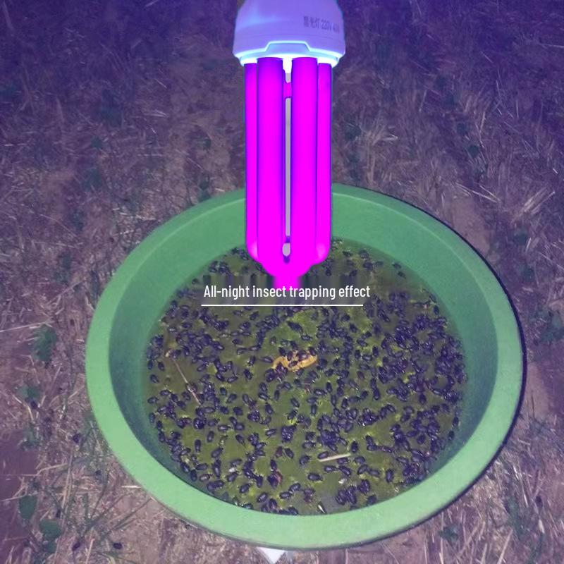 12V Insektenfalle mit Licht für den Außenbereich in der Aquakultur – für Käfer, Grillen, Zikaden und Motten