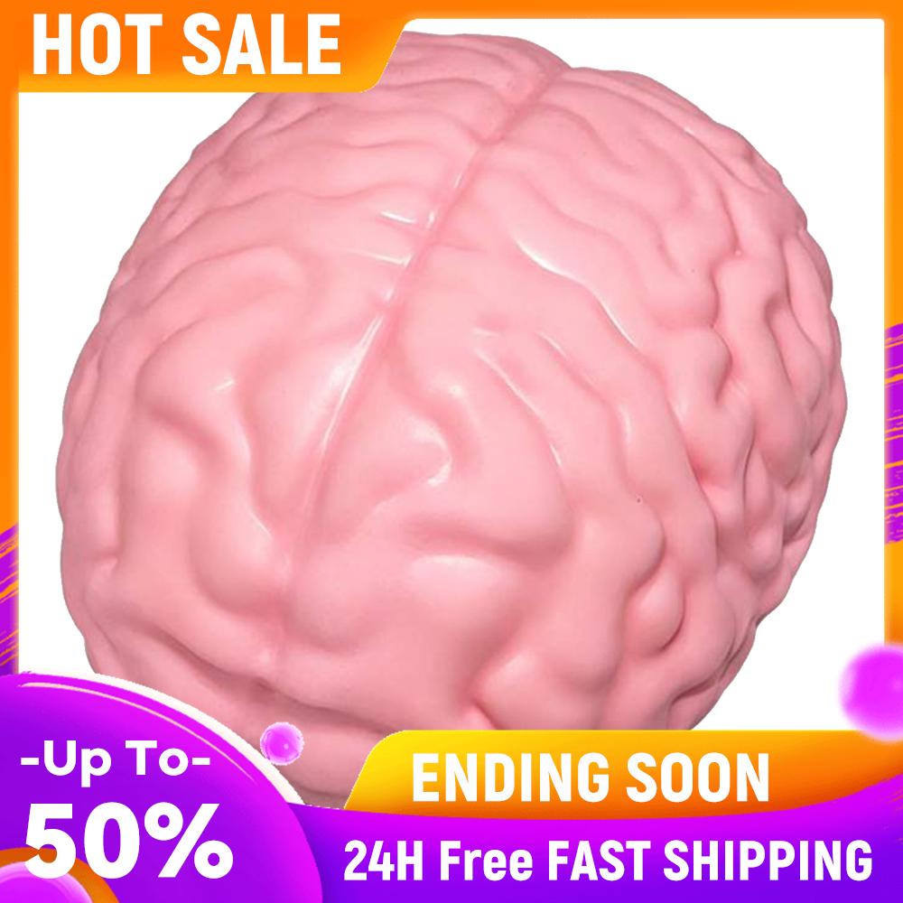

Soft TPR Jumbo Brain Stress Ball Slow Rising Brain Stretchy Toys Comfortable Touch Suitable for Adults Teenagers Birthday Gifts China Mainland