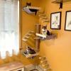 Space Saving Cat Climbing Shelf Steps Wall Mounted Cat Climbing Structure  Small Pets