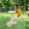 Parrots Ladder Wooden Bird Perch Stand Wear Resistant Parrot Perch Platform  Small Pet