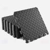 ½ Inch Home Gym Mat with EVA Foam Interlocking Tiles for MMA, Fitness, Gymnastics and Gym Protection, Floor Liner