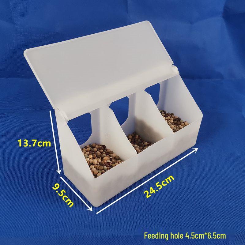 Pigeon Food and Water Dispenser with Lid - Anti-Spill Feeder Trough