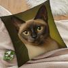 1Pc Burmese Cat Cushion Covers Chair Living Room Pillowcase Cozy Zipper Sofa Pillow Covers Animal Bedroom Indoor Home Decor