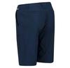Regatta Highton Long Shorts