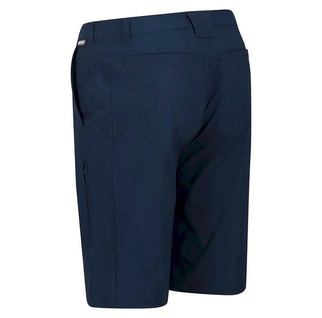 Regatta Highton Long Shorts
