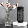 Elegant Glass Vase for Living Room - Light Luxury Ornament and Hydroponic Plant Display