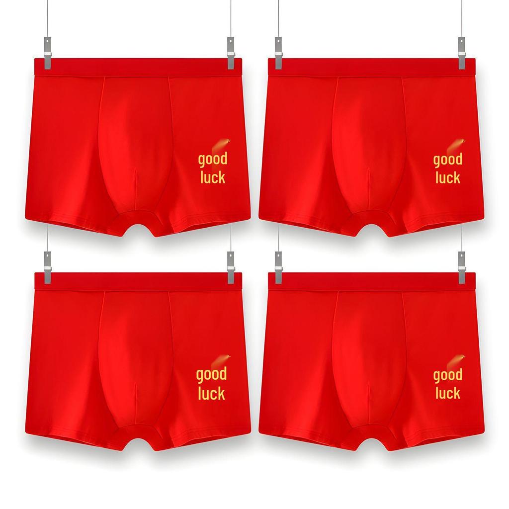 Plus Size Men's Year of the Rat Red Boxer Briefs