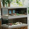 Car Model Display Cabinet Clear Car Model Display Box Stackable Storage Organizer Space-Saving Show Case with Light