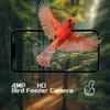AI Smart Bird Feeder with Camera & Solar Panel