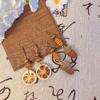 Yunnan Artistic Ethnic Fruit Earrings: Retro Natural Forest Style Design