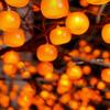 Persimmons String Light Waterproof Battery Operated Artificial Fruit Lights for Outdoor Garden Christmas Tree Decor