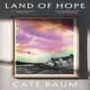 Land of Hope by Cate Baum Paperback Book 9781911648918