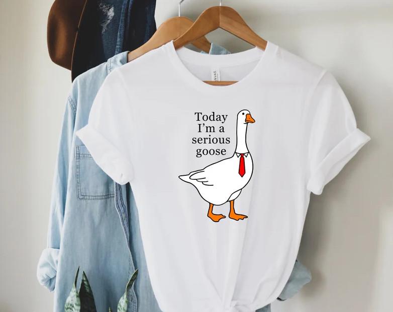 Today I'm A Serious Goose T Shirt, Silly Goose Shirt, Funny Shirt, Silly Goose