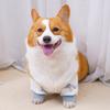 Dog Elbow Cover Outdoor Sleeve Legging Strolling Wear Soft Dustproof Leggings For Small Medium Pet