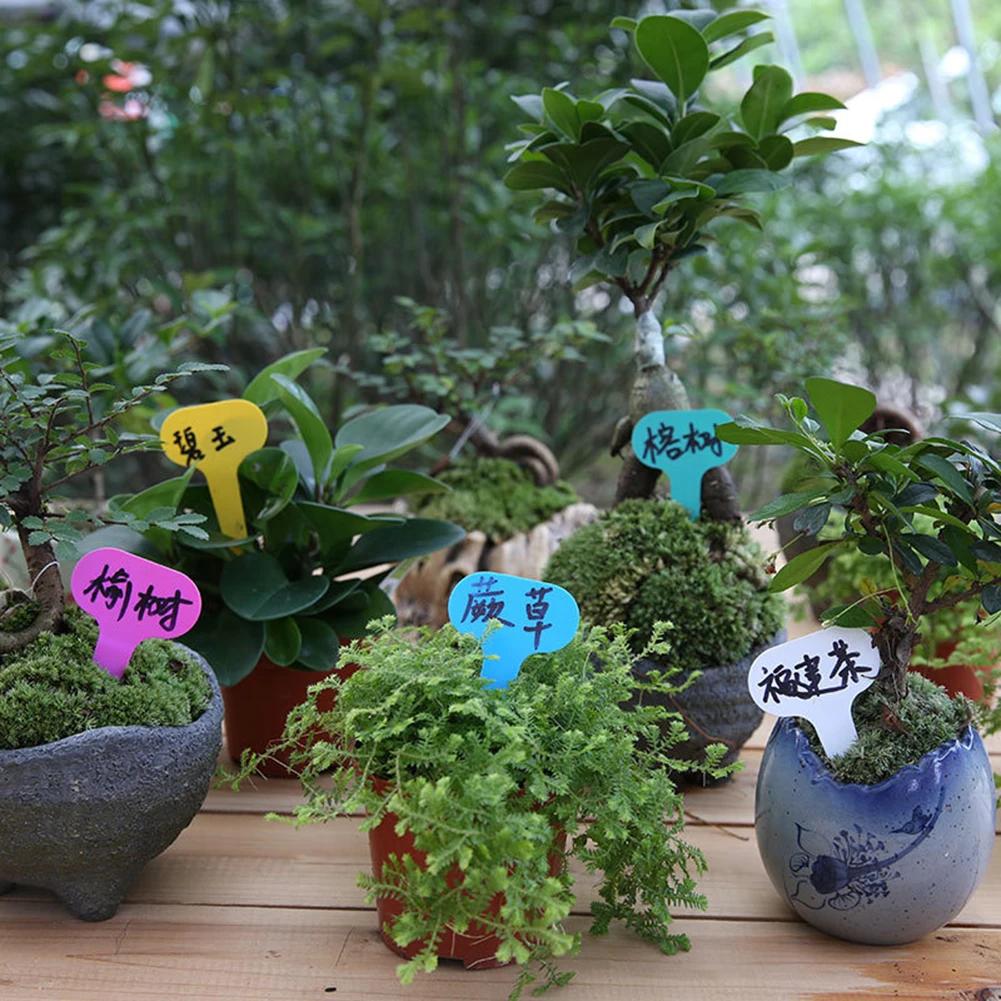 50/100Pcs Reusable Plastic Plant Markers T-type Tags Nursery Garden Decor Tags for Plants Flower Pot Tags Garden Supplies