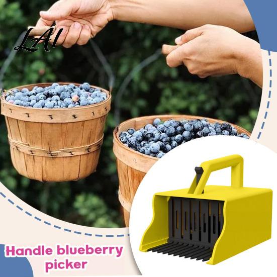 Handlicher Beerensammler mit Kamm Ergonomischer Griff Blaubeeren Himbeeren Fruchtsammelgerät Erntewerkzeug Schaufelwerkzeug für Obstgarten Farm