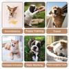 Paw Legend Washable Dogs Diapers Male Dog Belly Bands for Male Dogs Diapers Reble Puppy & Doggie Diapers Male (4 Pack, Small)