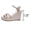 Fashion High Heels Women Platform Sandals Designer Wedges Fashion Buckle Shoes 2025 Summer New Casual Pumps Dress Party Sandalias Mujer