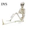 Detailed Skull And Bone Structures Realistic Halloween Skeleton Figure, 40cm Posable Joints Hanging Decoration, Weather Resistant Ornaments