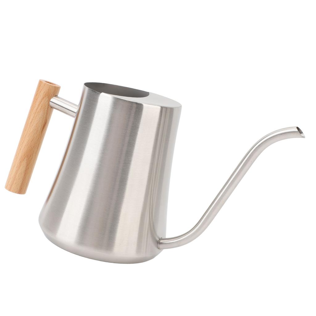 Indoor Watering Can Stainless Steel Wooden Handle Watering Pot with Spout for House Plants Flowers Succulents Bonsai 1L