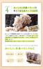 Herb Kenko Honpo Delicious Domestic Mixed Grain Rice 7 Packets Gift Summer Winter Birthday Present