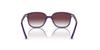 Sunglasses JUNIOR LEONARD RJ9093S [Ray-Ban]