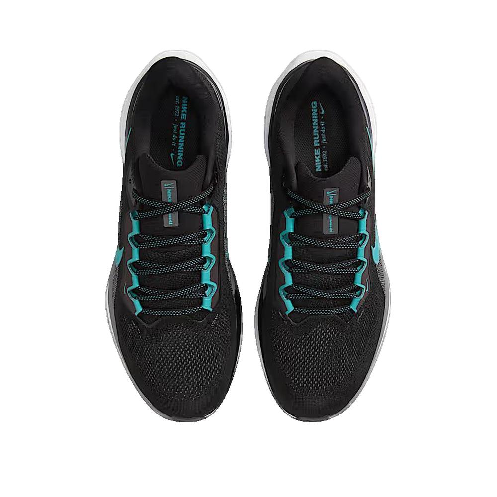 Footwear Type Nike Pegasus 41