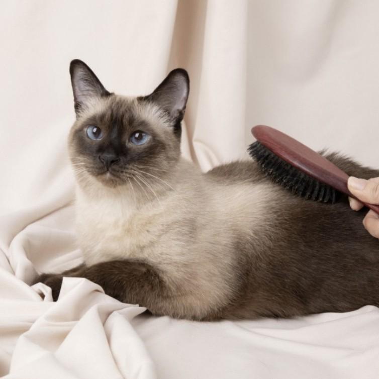 [Masalcoso] Dog/Cat Premium Brush 23cm, From Korea