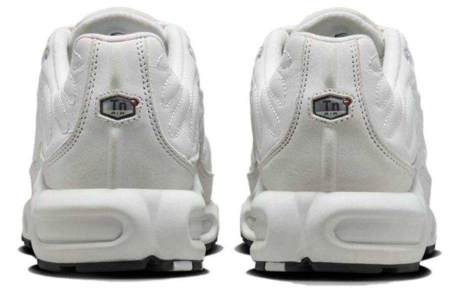 Nike Air Max Plus Platinum Tint Women's FZ4342-001