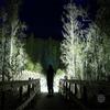 New 6LED Flashlight Mini Portable Lamp USB Rechargeable Camping Lights