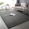 Einfarbiger Korallenfleece-Teppich für Schlafzimmer, Wohnzimmer oder Balkon - Vollflächige Matte für Bettseite, Erker oder Couchtisch.