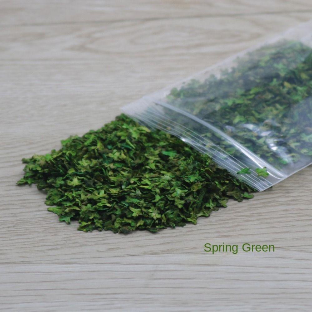 Trendy DIY Micro Landscape Leaves Model Wooden High-fidelity Scenery Model Grass Tufts Accessories Teenager