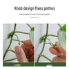 Pothos Wall Clips - Non-marking Hooks for Green Plant Climbing and Vine Support
