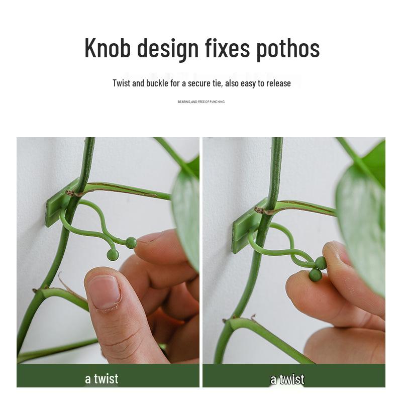 Pothos Wall Clips - Non-marking Hooks for Green Plant Climbing and Vine Support