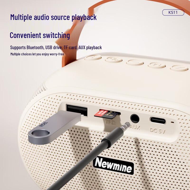 Newmine KS11 Portable K-Song Bluetooth Speaker CN plug (adapter included)
